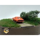 Dodge Charger (1969), orange