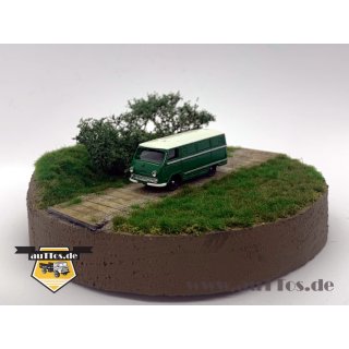 RAF-977K Kastenwagen grün, Dach weiß