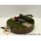 Skoda 706 RTTN Sattelzugmaschine FH dunkelrot, Chassis grau