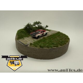 ´71 Mercury Cyclon NASCAR No. 10