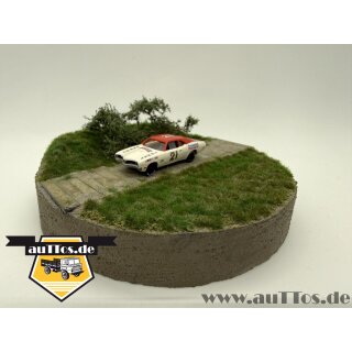 ´71 Mercury Cyclon NASCAR No. 21