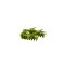 Scheibenegge B352 (Bausatz)