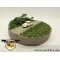 IFA F9 Limousine,1. Bauserie, beige