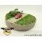 IFA F9 Limousine,1. Bauserie, rot